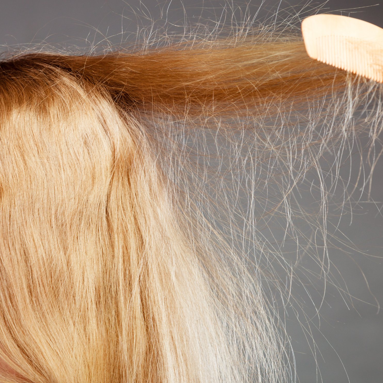 Starostlivosť o vlasy v zime